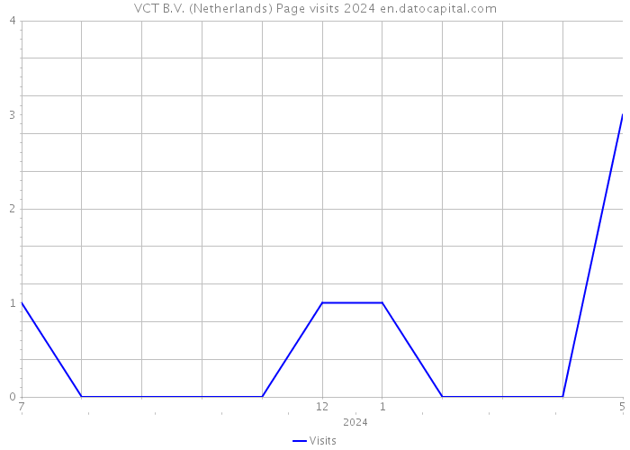 VCT B.V. (Netherlands) Page visits 2024 