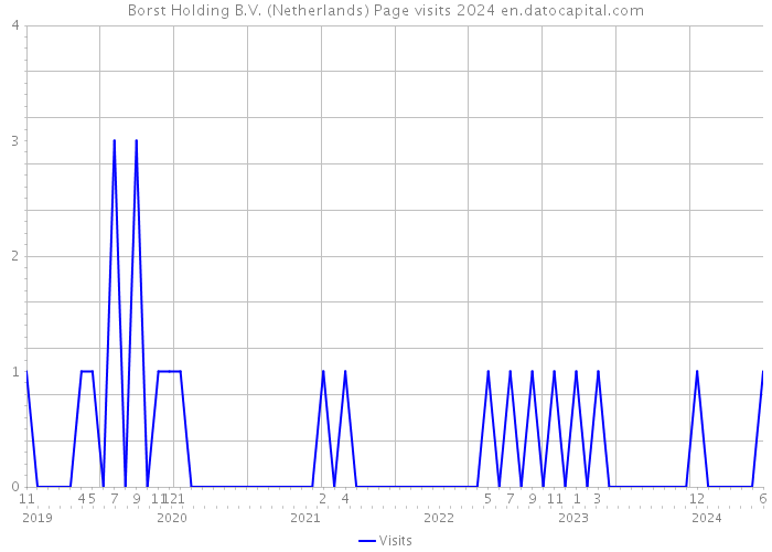 Borst Holding B.V. (Netherlands) Page visits 2024 