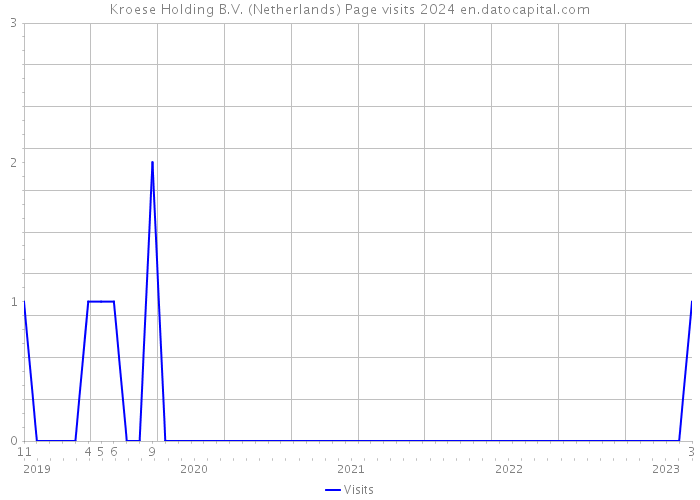 Kroese Holding B.V. (Netherlands) Page visits 2024 