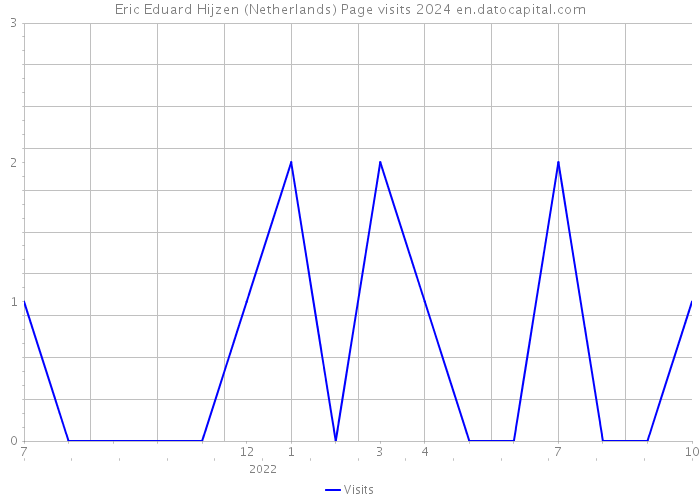 Eric Eduard Hijzen (Netherlands) Page visits 2024 