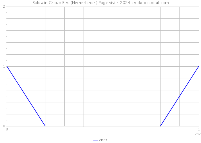 Baldwin Group B.V. (Netherlands) Page visits 2024 