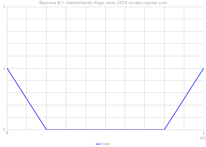 Bayonne B.V. (Netherlands) Page visits 2024 