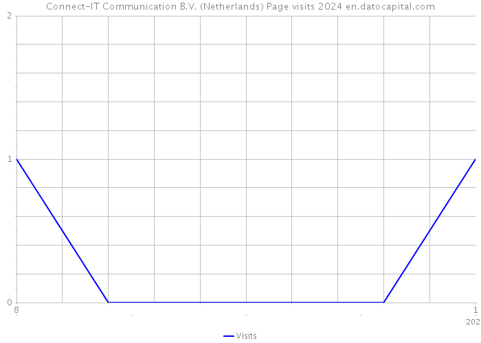 Connect-IT Communication B.V. (Netherlands) Page visits 2024 