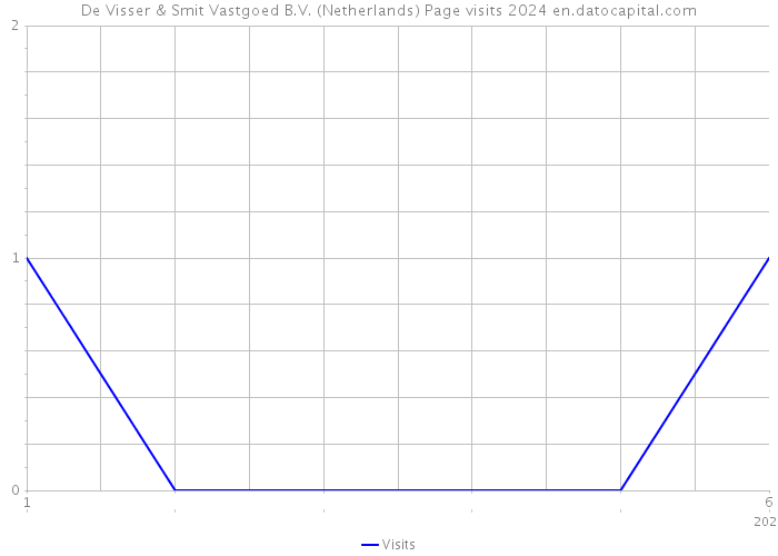 De Visser & Smit Vastgoed B.V. (Netherlands) Page visits 2024 