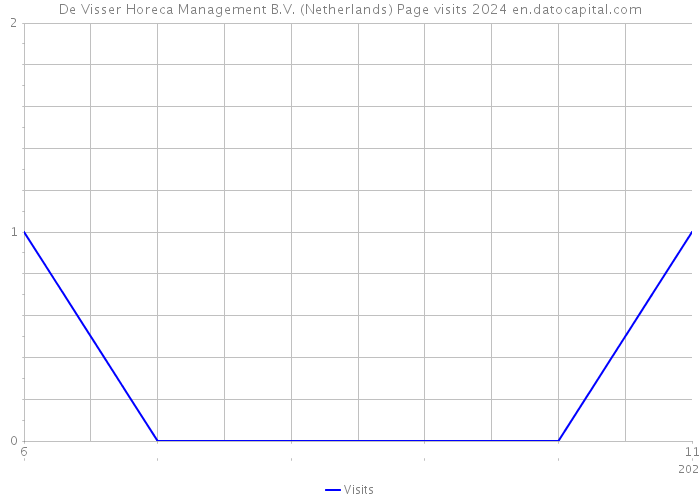 De Visser Horeca Management B.V. (Netherlands) Page visits 2024 