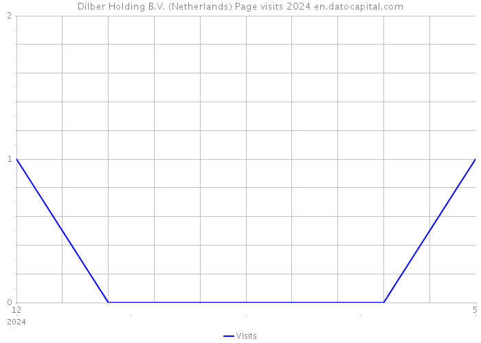 Dilber Holding B.V. (Netherlands) Page visits 2024 