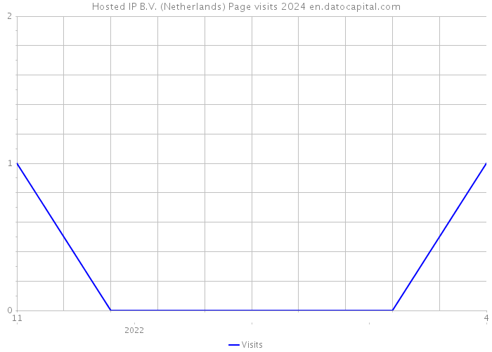 Hosted IP B.V. (Netherlands) Page visits 2024 
