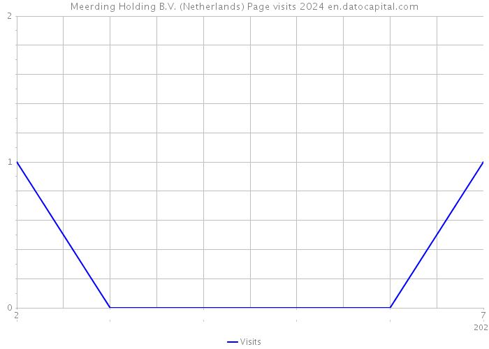 Meerding Holding B.V. (Netherlands) Page visits 2024 