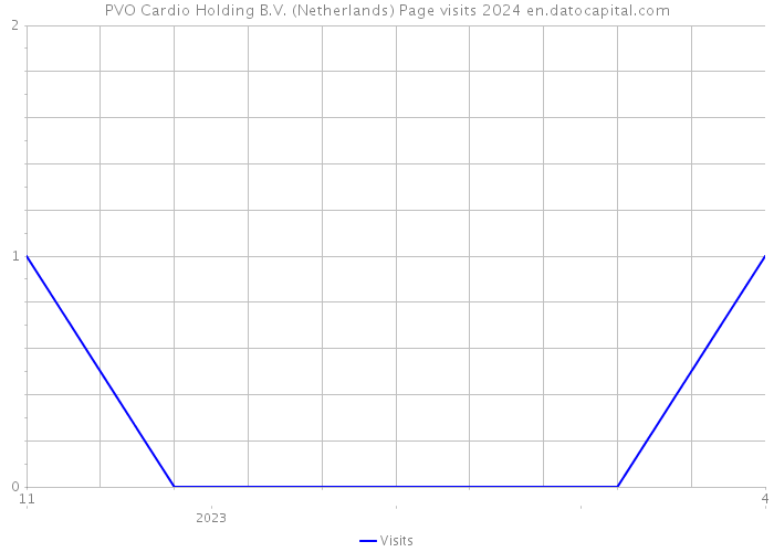 PVO Cardio Holding B.V. (Netherlands) Page visits 2024 
