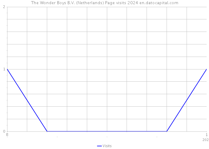 The Wonder Boys B.V. (Netherlands) Page visits 2024 