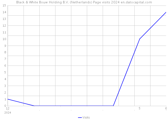 Black & White Bouw Holding B.V. (Netherlands) Page visits 2024 