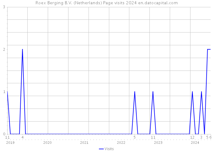 Roex Berging B.V. (Netherlands) Page visits 2024 
