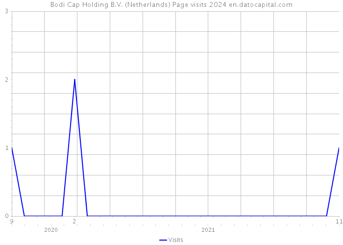 Bodi Cap Holding B.V. (Netherlands) Page visits 2024 