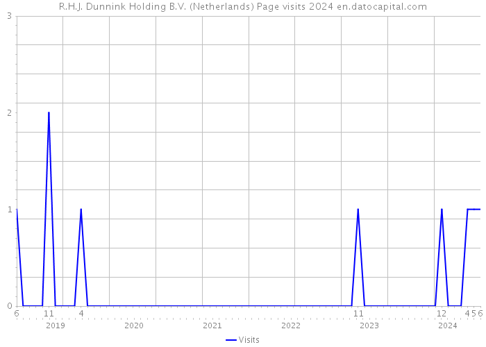R.H.J. Dunnink Holding B.V. (Netherlands) Page visits 2024 