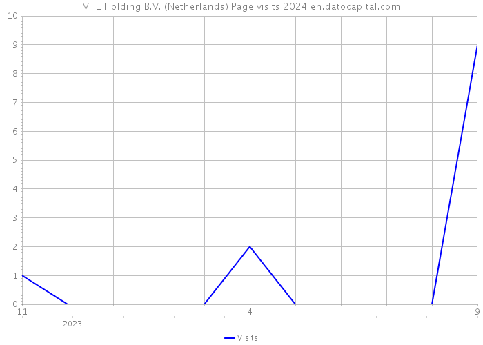 VHE Holding B.V. (Netherlands) Page visits 2024 