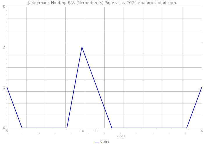 J. Koemans Holding B.V. (Netherlands) Page visits 2024 