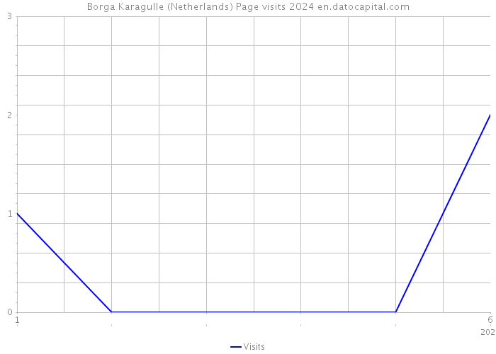 Borga Karagulle (Netherlands) Page visits 2024 