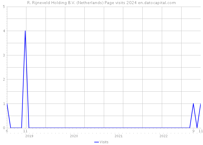 R. Rijneveld Holding B.V. (Netherlands) Page visits 2024 