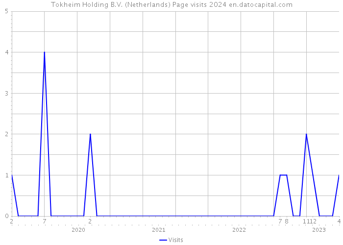 Tokheim Holding B.V. (Netherlands) Page visits 2024 