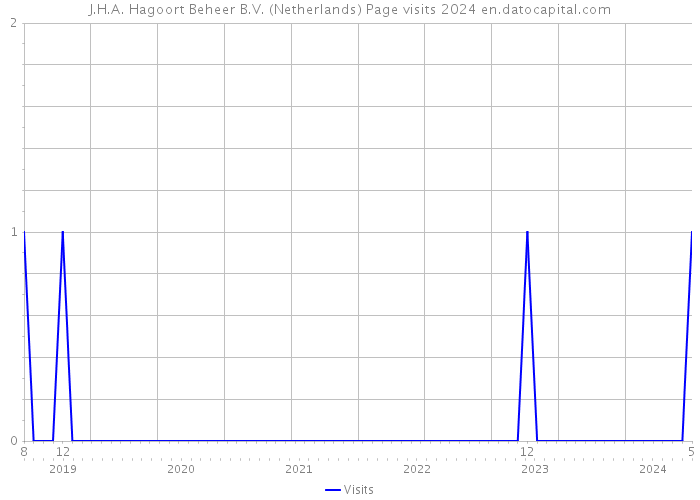 J.H.A. Hagoort Beheer B.V. (Netherlands) Page visits 2024 
