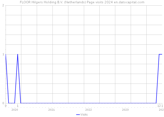 FLOOR Hilgers Holding B.V. (Netherlands) Page visits 2024 
