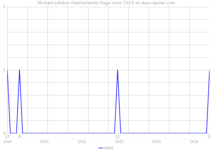Michael Lafeber (Netherlands) Page visits 2024 