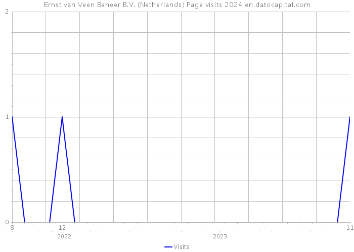 Ernst van Veen Beheer B.V. (Netherlands) Page visits 2024 