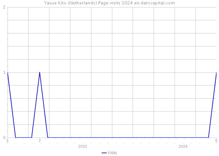 Yasue Kito (Netherlands) Page visits 2024 