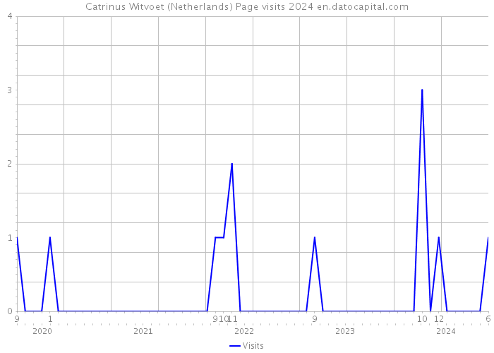 Catrinus Witvoet (Netherlands) Page visits 2024 