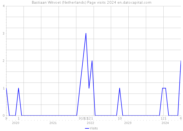 Bastiaan Witvoet (Netherlands) Page visits 2024 