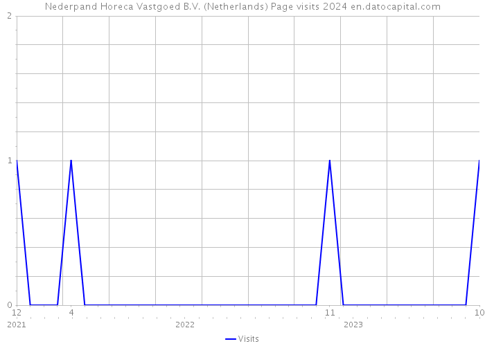 Nederpand Horeca Vastgoed B.V. (Netherlands) Page visits 2024 