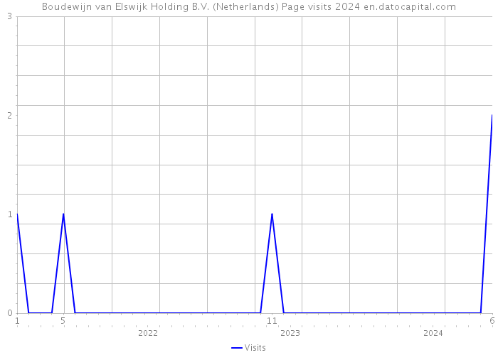 Boudewijn van Elswijk Holding B.V. (Netherlands) Page visits 2024 