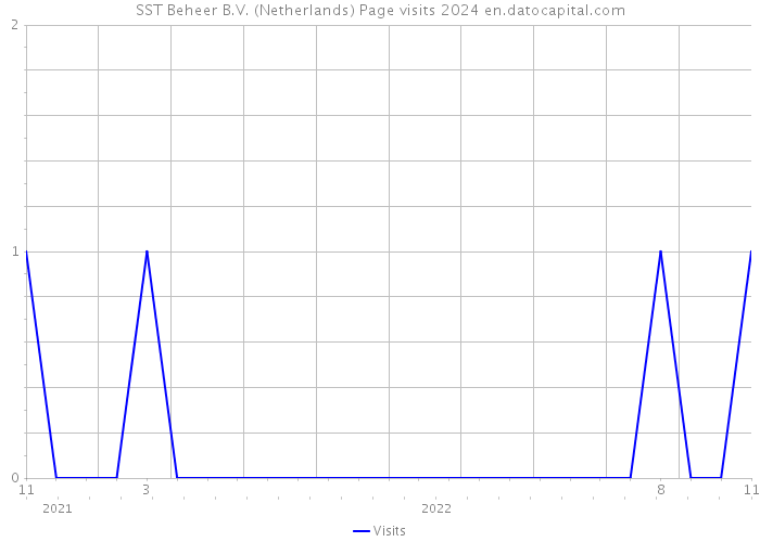 SST Beheer B.V. (Netherlands) Page visits 2024 