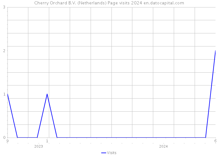 Cherry Orchard B.V. (Netherlands) Page visits 2024 