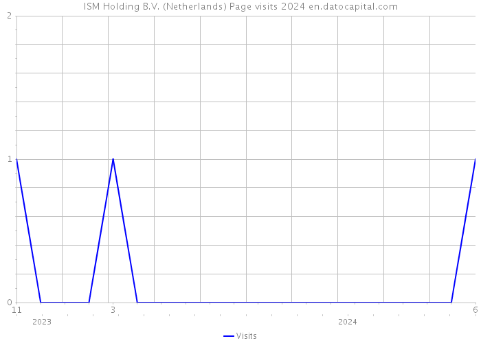 ISM Holding B.V. (Netherlands) Page visits 2024 