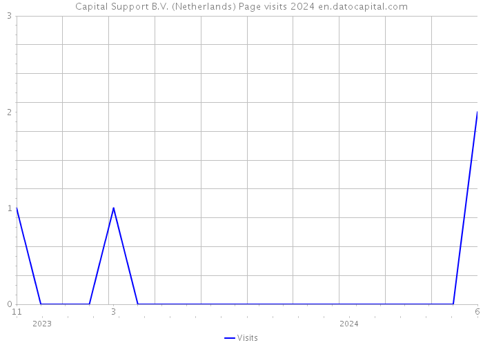 Capital Support B.V. (Netherlands) Page visits 2024 