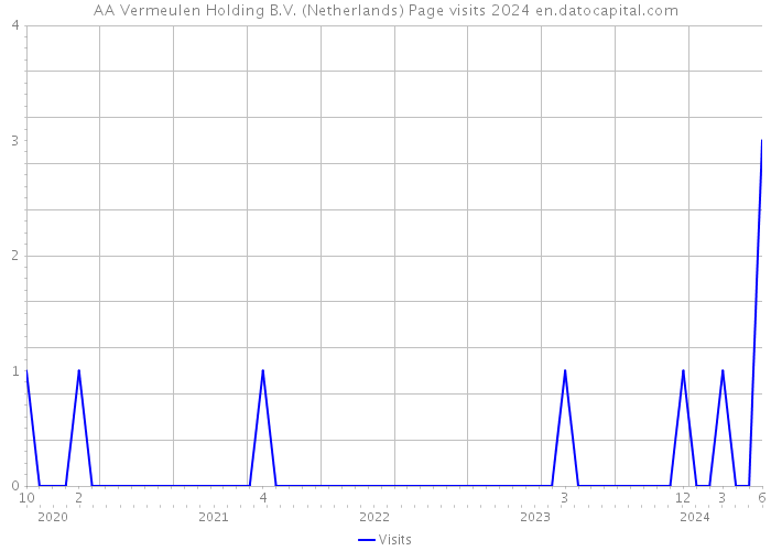 AA Vermeulen Holding B.V. (Netherlands) Page visits 2024 