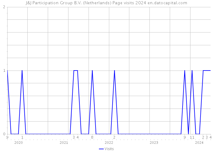J&J Participation Group B.V. (Netherlands) Page visits 2024 