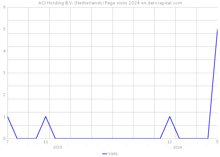ACI Holding B.V. (Netherlands) Page visits 2024 