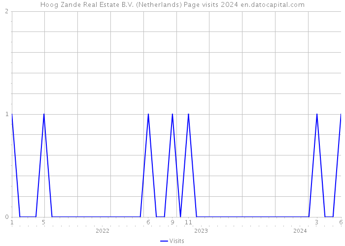 Hoog Zande Real Estate B.V. (Netherlands) Page visits 2024 