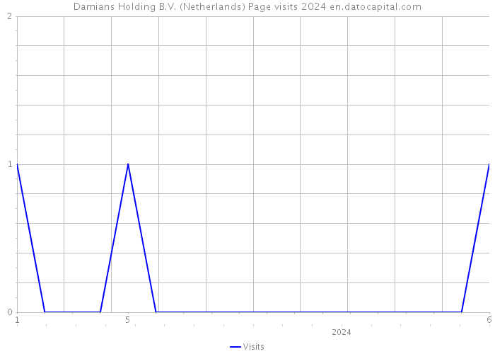 Damians Holding B.V. (Netherlands) Page visits 2024 