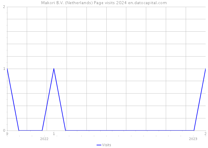 Makori B.V. (Netherlands) Page visits 2024 