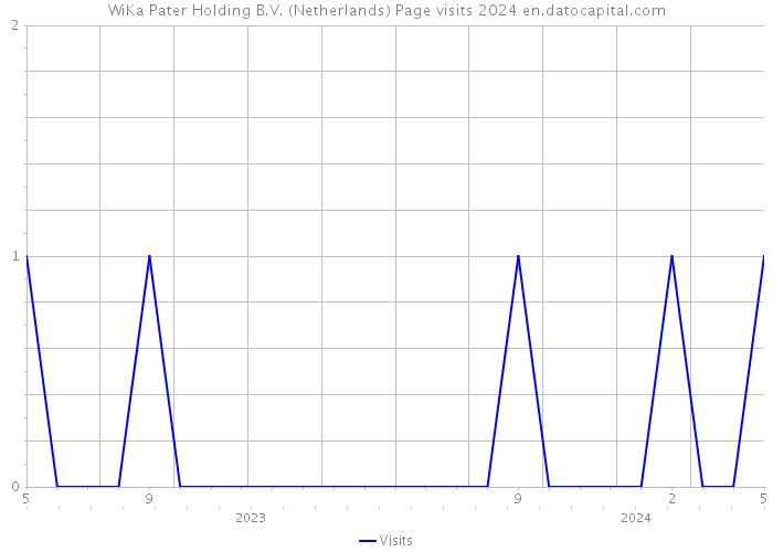 WiKa Pater Holding B.V. (Netherlands) Page visits 2024 