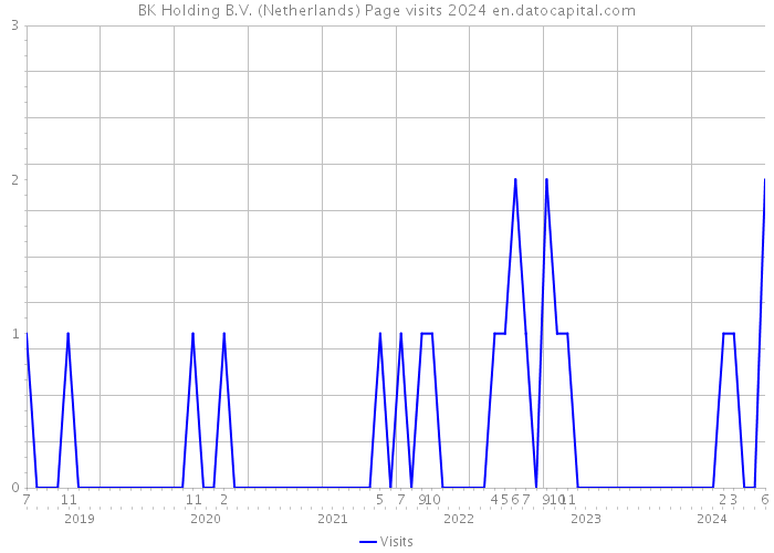 BK Holding B.V. (Netherlands) Page visits 2024 