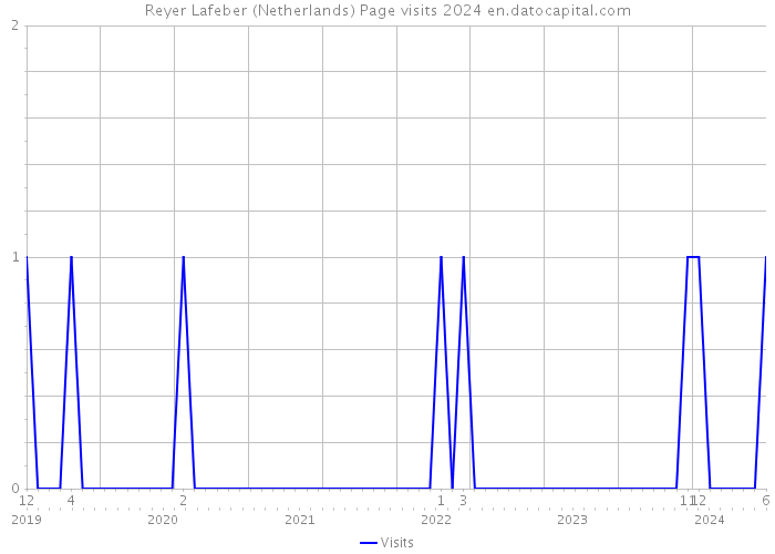 Reyer Lafeber (Netherlands) Page visits 2024 