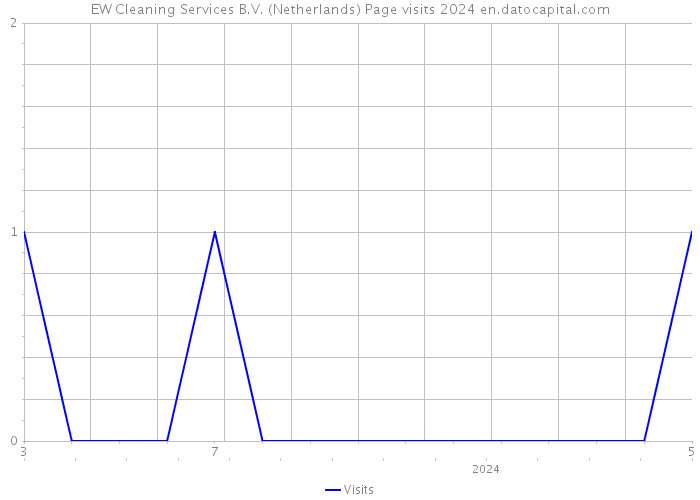 EW Cleaning Services B.V. (Netherlands) Page visits 2024 