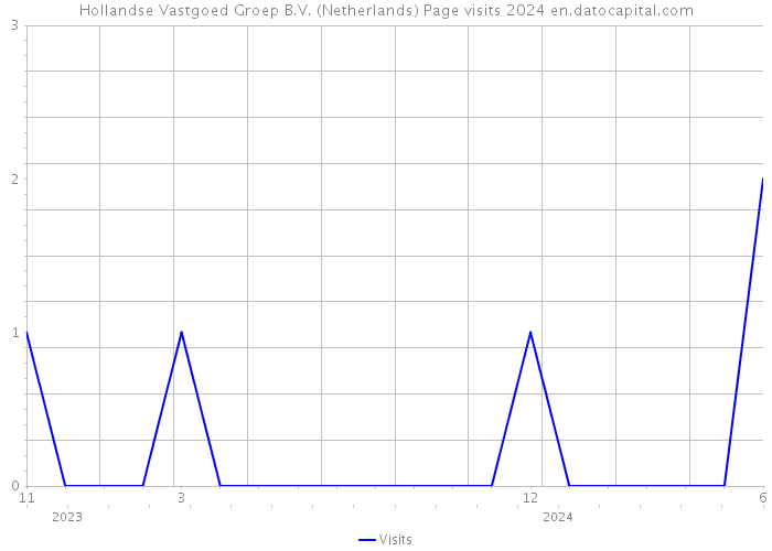 Hollandse Vastgoed Groep B.V. (Netherlands) Page visits 2024 