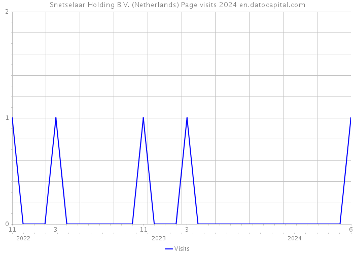Snetselaar Holding B.V. (Netherlands) Page visits 2024 