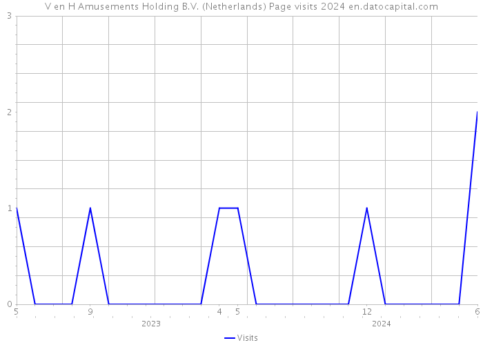 V en H Amusements Holding B.V. (Netherlands) Page visits 2024 