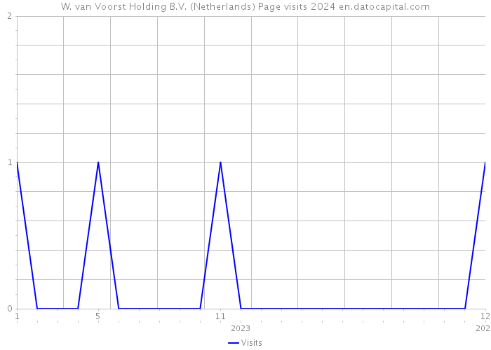 W. van Voorst Holding B.V. (Netherlands) Page visits 2024 
